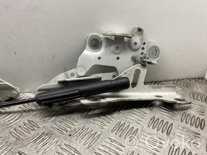 BMW 4 F32 F33 Cerniere del vano motore/cofano 7336700