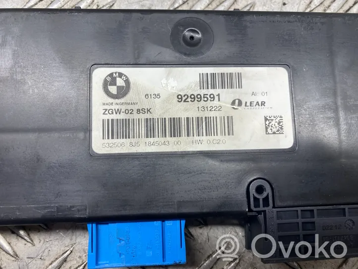 BMW M5 Modulo di controllo accesso 9299591