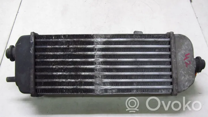 Hyundai ix20 Intercooler radiator 