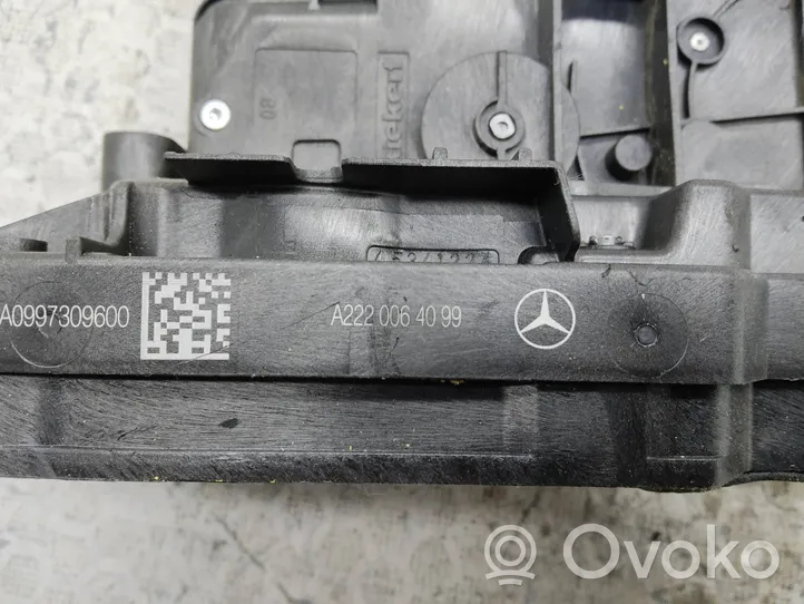 Mercedes-Benz C W205 Rear door lock A2220064099