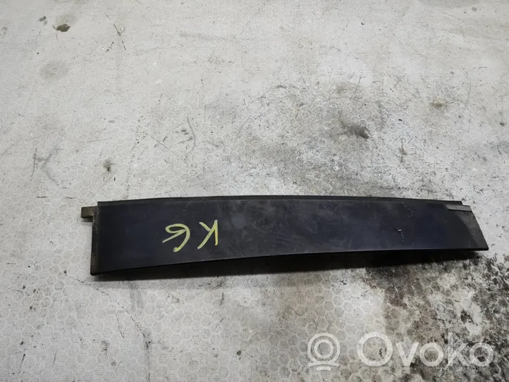 Chevrolet Captiva Other rear door trim element 95238093