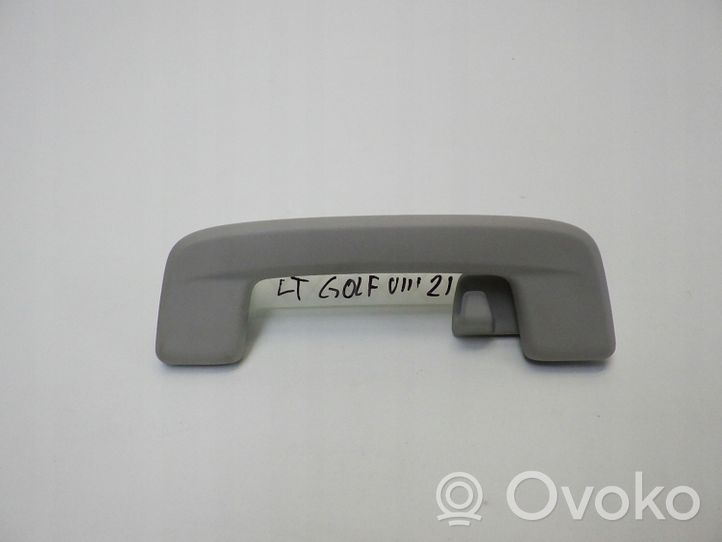 Volkswagen Golf VIII Maniglia interna tetto posteriore 5H0857643B