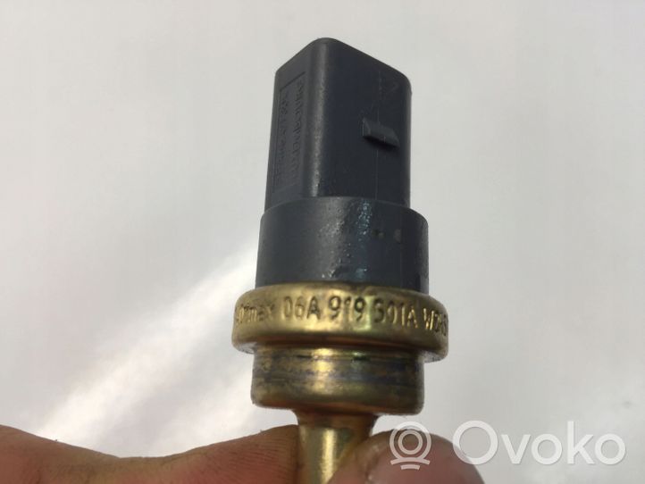 Audi Q2 - Sensore temperatura del liquido di raffreddamento 06A919501A