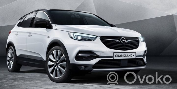 Opel Grandland X Veidrodėlis (elektra valdomas) 