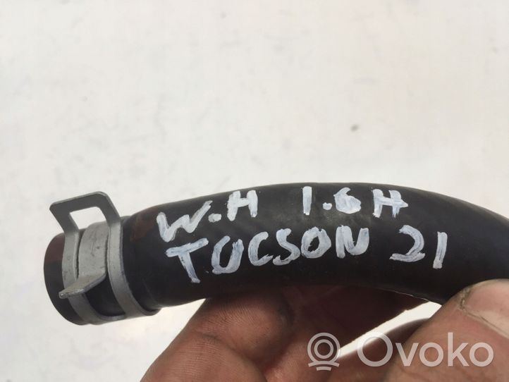 Hyundai Tucson IV NX4 Moottorin vesijäähdytyksen putki/letku 366933DAG0