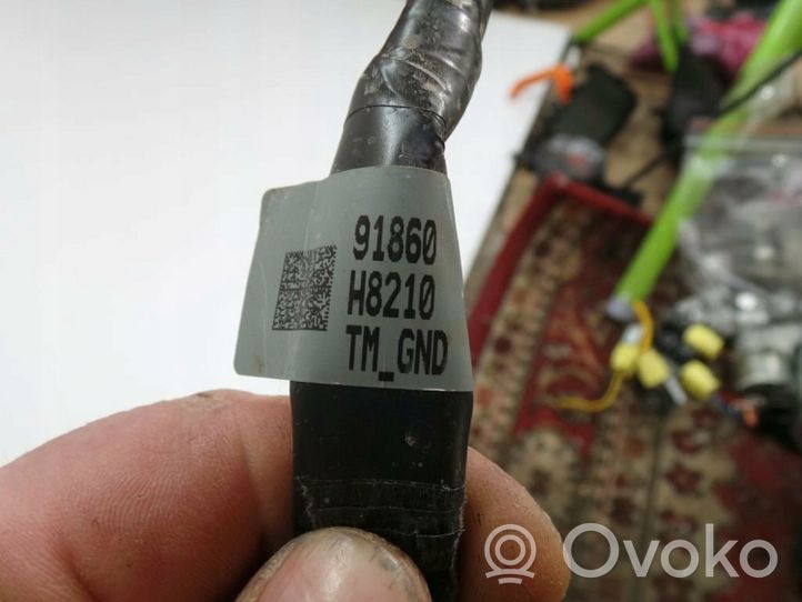 KIA Stonic Câble négatif masse batterie 91860H8210