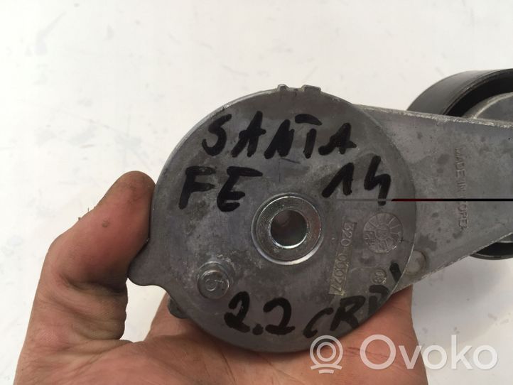 Hyundai Santa Fe Tensor de correa del alternador 252812F000