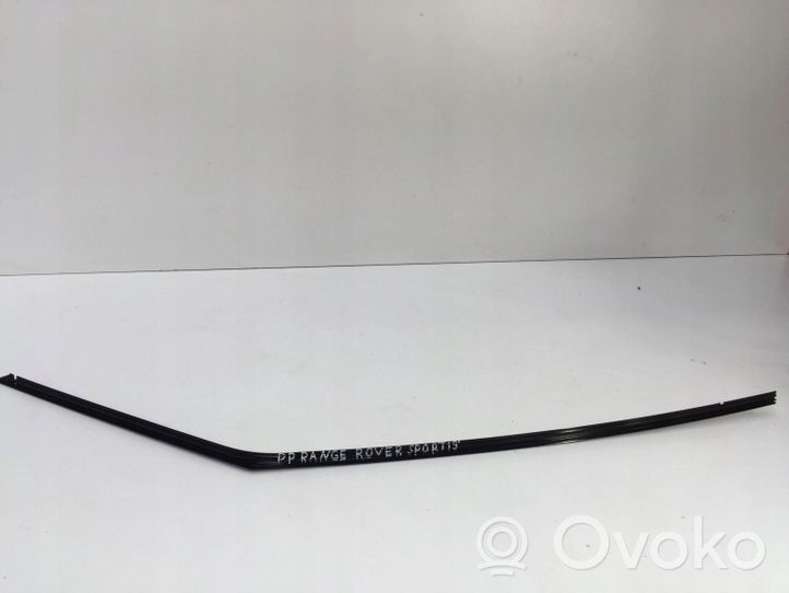 Land Rover Range Rover Sport L494 Rivestimento modanatura del vetro della portiera anteriore DK62208A96AB