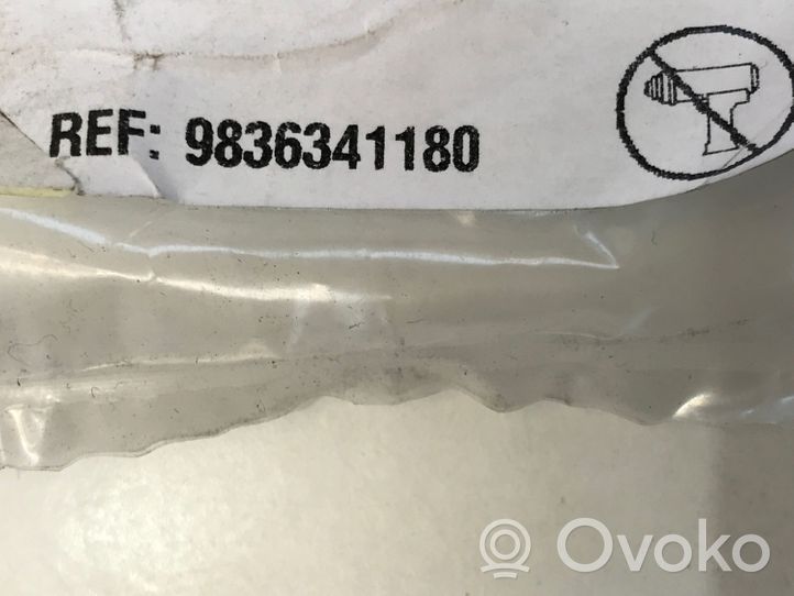 Citroen C4 III e-C4 Dadi/bulloni 9836341180