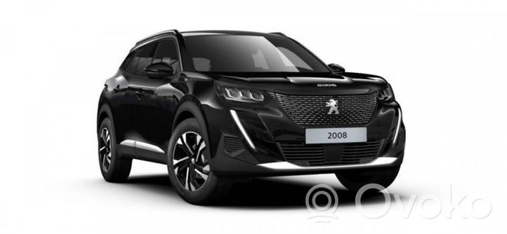 Peugeot 2008 II Крышка топливного бака 9831476080