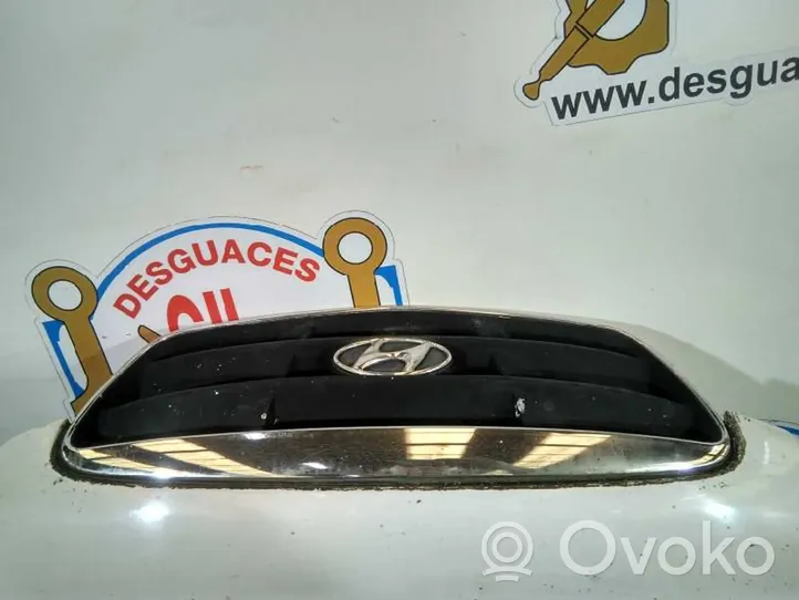 Hyundai Elantra Motorhaube 