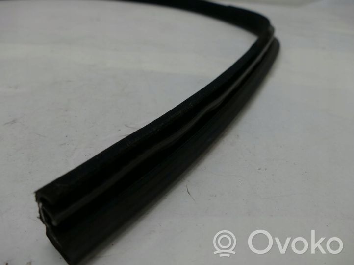 Mercedes-Benz E A207 Front door rubber seal A2076920476