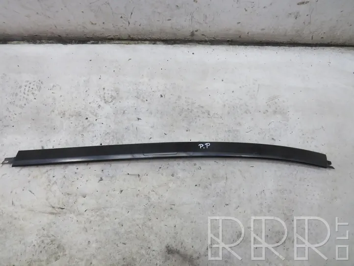 Honda CR-V Rubber seal front door window/glass 