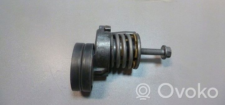 Volkswagen Golf VII Tendicinghia generatore/alternatore 03C145299Q