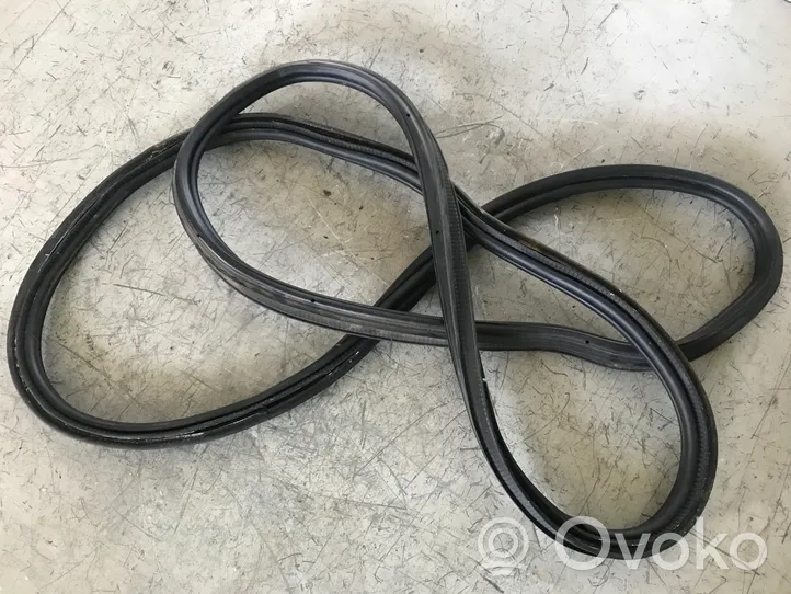 Opel Insignia A Loading door rubber seal (on body) 