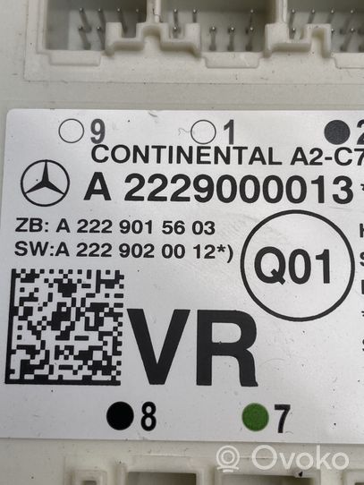 Mercedes-Benz GLC X253 C253 Sterownik / Moduł drzwi A2229000013