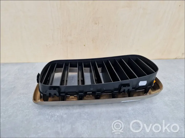 BMW X6 F16 Front grill 51137349387