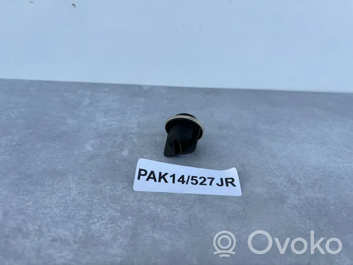 Mercedes-Benz C W204 Osłona żarówki lampy przedniej 1305219106