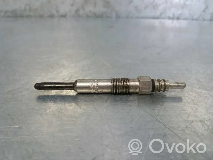 Renault Scenic I Glow plug 0250202022