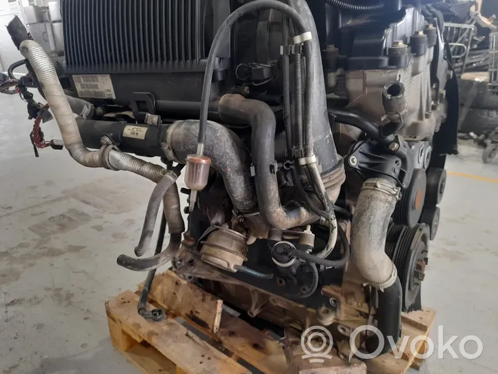 Ford Fusion Engine 204D3