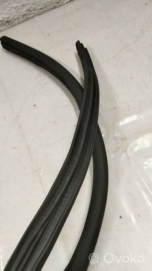 Mercedes-Benz AMG GT R190 C190 Front door rubber seal A1906970351