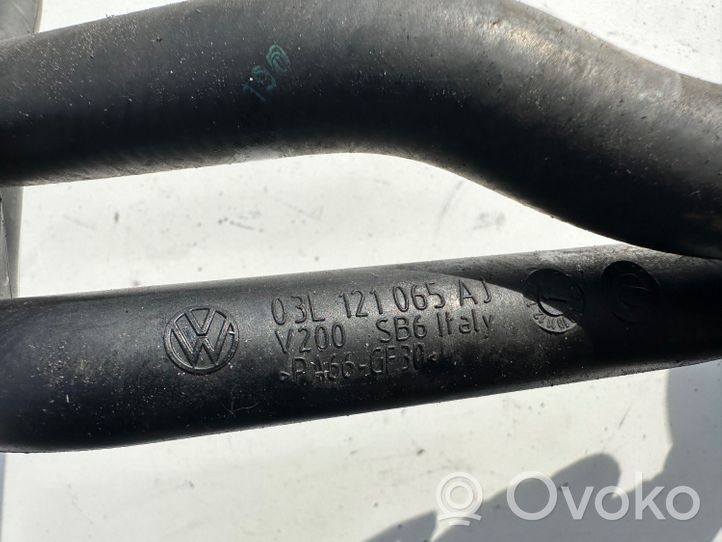 Volkswagen Beetle A5 Variklio aušinimo vamzdelis (-ai)/ žarna (-os) 03L121065AJ