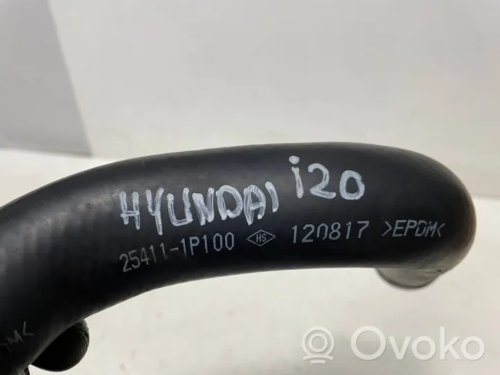 Hyundai i20 (PB PBT) Caurulīte (-es) / šļūtene (-es) 254111P100