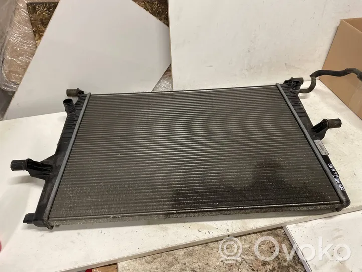 Renault Megane III Coolant radiator 214100014R