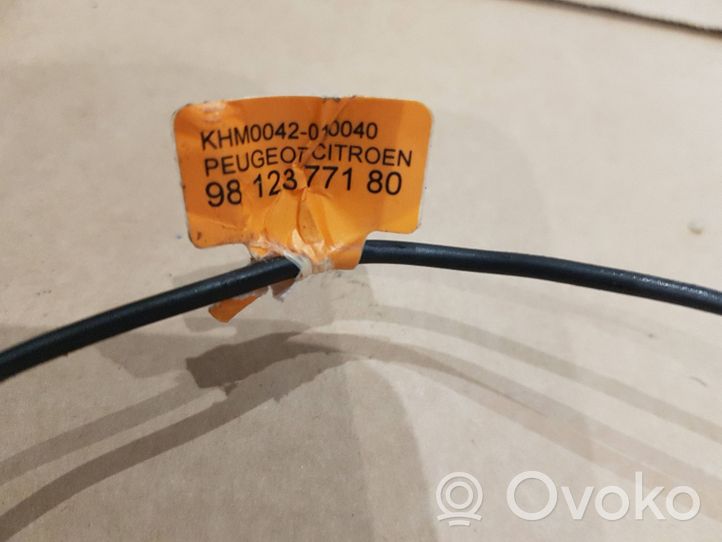 Citroen C3 Microphone (Bluetooth / téléphone) 9812377180