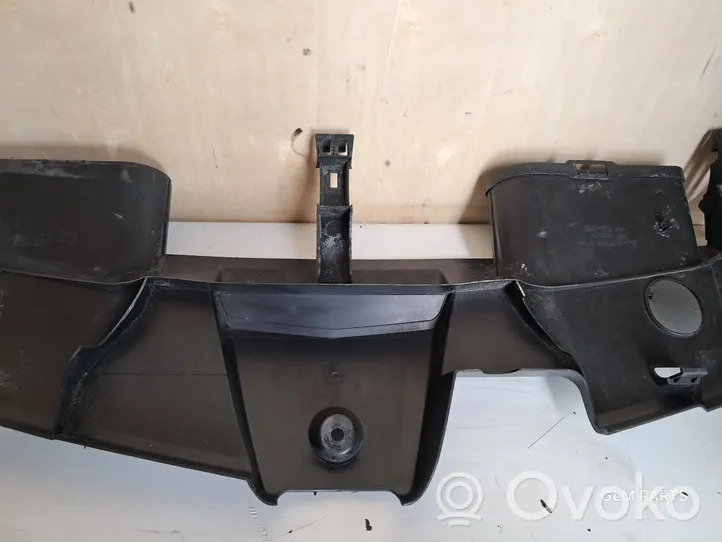 Mercedes-Benz E C207 W207 Rivestimento della modanatura della chiusura del vano motore/cofano A2075000155