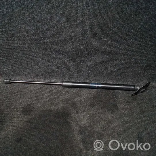 Volkswagen Tiguan Sprężyna do klapy tylnej bagażnika 5N0827550