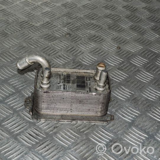 Ford S-MAX Dzinēja eļļas radiators 6G917A095AD