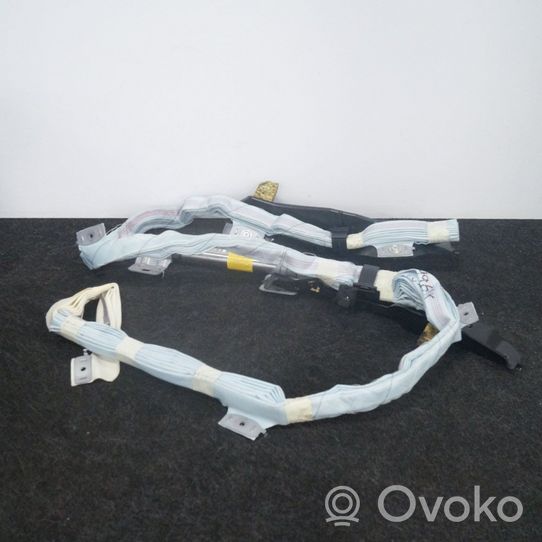 Toyota Prius (NHW20) Airbag del techo 