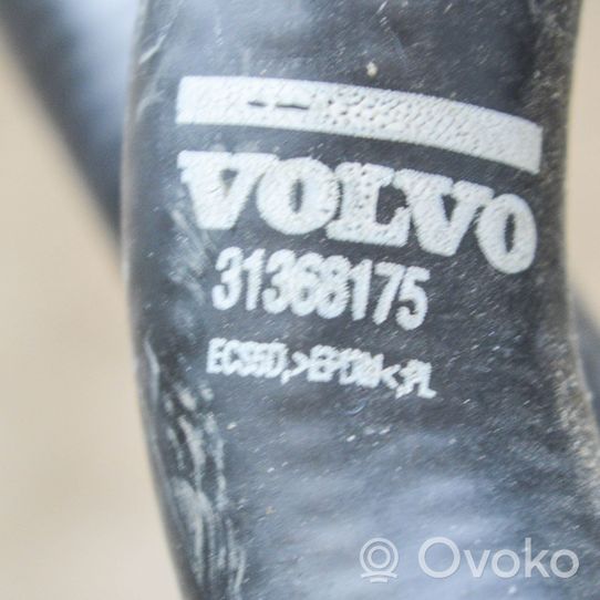 Volvo XC60 Žarna (-os)/ vamzdis (-džiai) 31368175