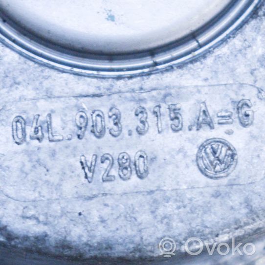 Skoda Superb B8 (3V) Napinacz paska alternatora 04L903315AG