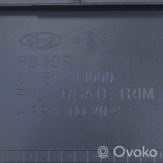 Hyundai i20 (PB PBT) Moldura de la puerta trasera 817511J000