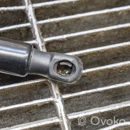 Audi Q3 8U Spyruoklė (-ės) galinio dangčio 8U0827552B