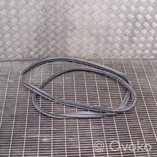 Ford Focus Trunk rubber seal (body) BM51A404A06