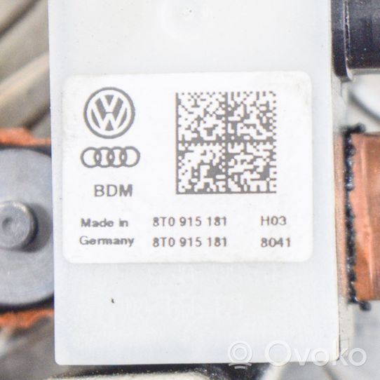 Audi A6 C7 Cavo negativo messa a terra (batteria) 8T0915181