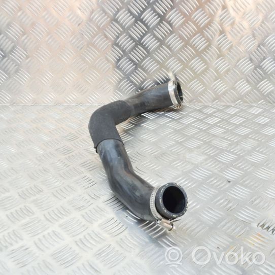 Ford Fiesta Tubo flessibile intercooler H1B16C646AB