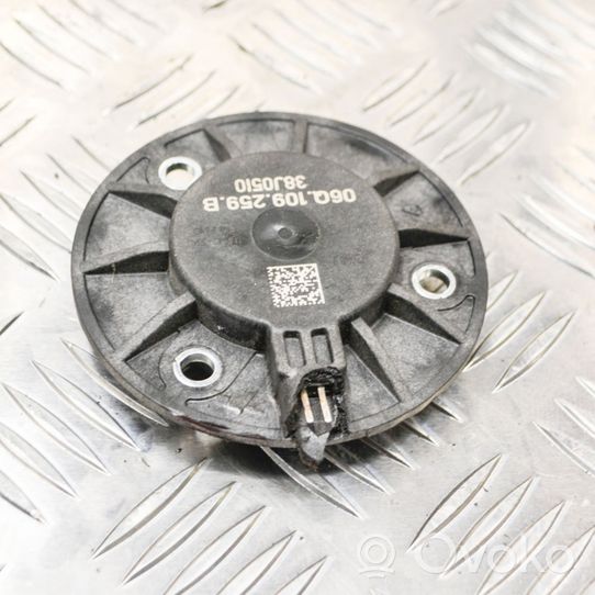 Audi A6 S6 C8 4K Puleggia dell’albero a camme/VANOS 06Q109259B