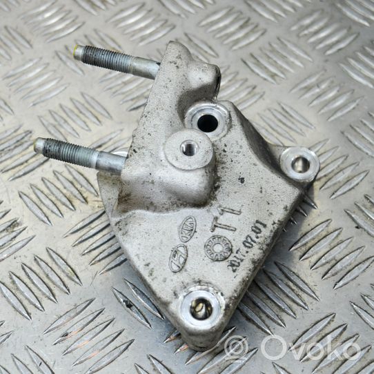 Hyundai Ioniq Engine mounting bracket 