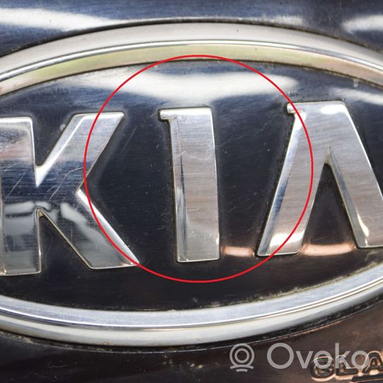 KIA Sportage Listwa oświetlenie tylnej tablicy rejestracyjnej 925011F0