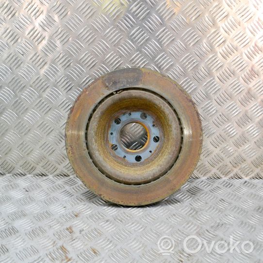 Tesla Model 3 Rear brake disc 