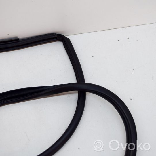 Toyota Prius (XW50) Rubber seal front coupe door 