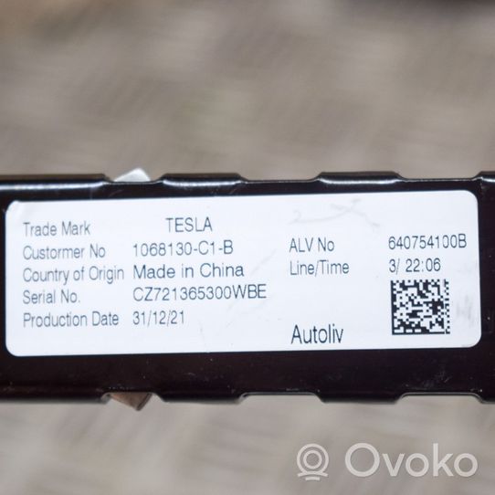 Tesla Model 3 Sicherheitsgurthöhenversteller 1068130C1B