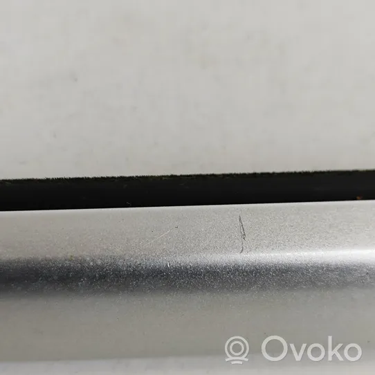 Volvo XC60 Rear door glass trim molding 31371113