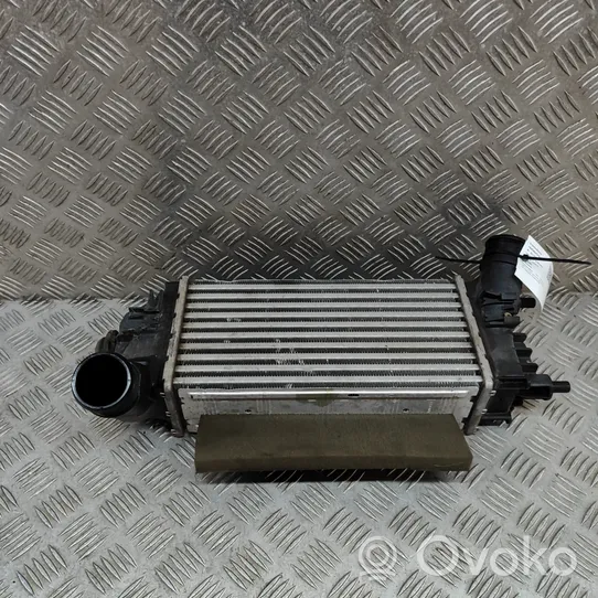 Ford Fiesta Intercooler radiator L1BG6D624AB