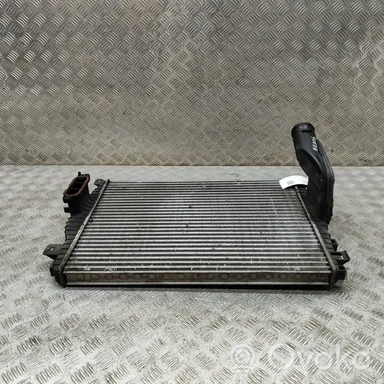 Jaguar XF X250 Starpdzesētāja radiators 9X239L440AA