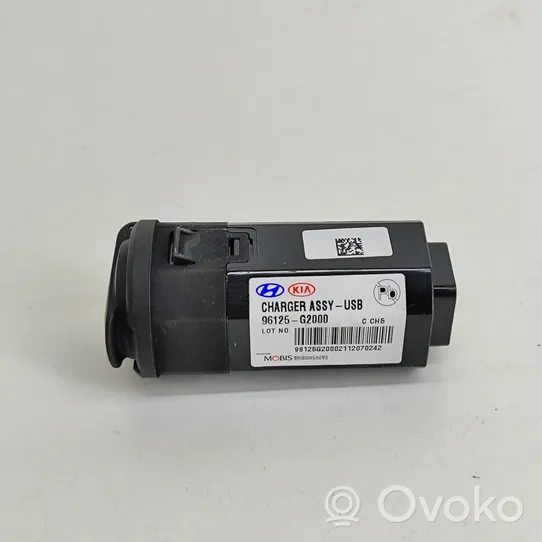 Hyundai Ioniq Enchufe conector USB 96125G2000